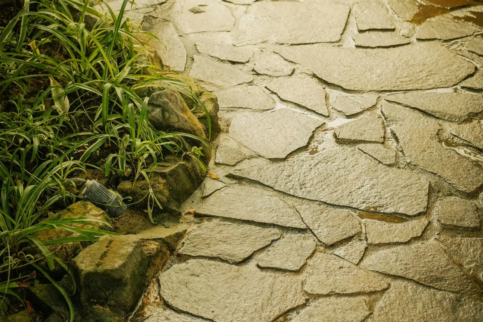 Decorative stamped concrete walkway winding through a residential garden
