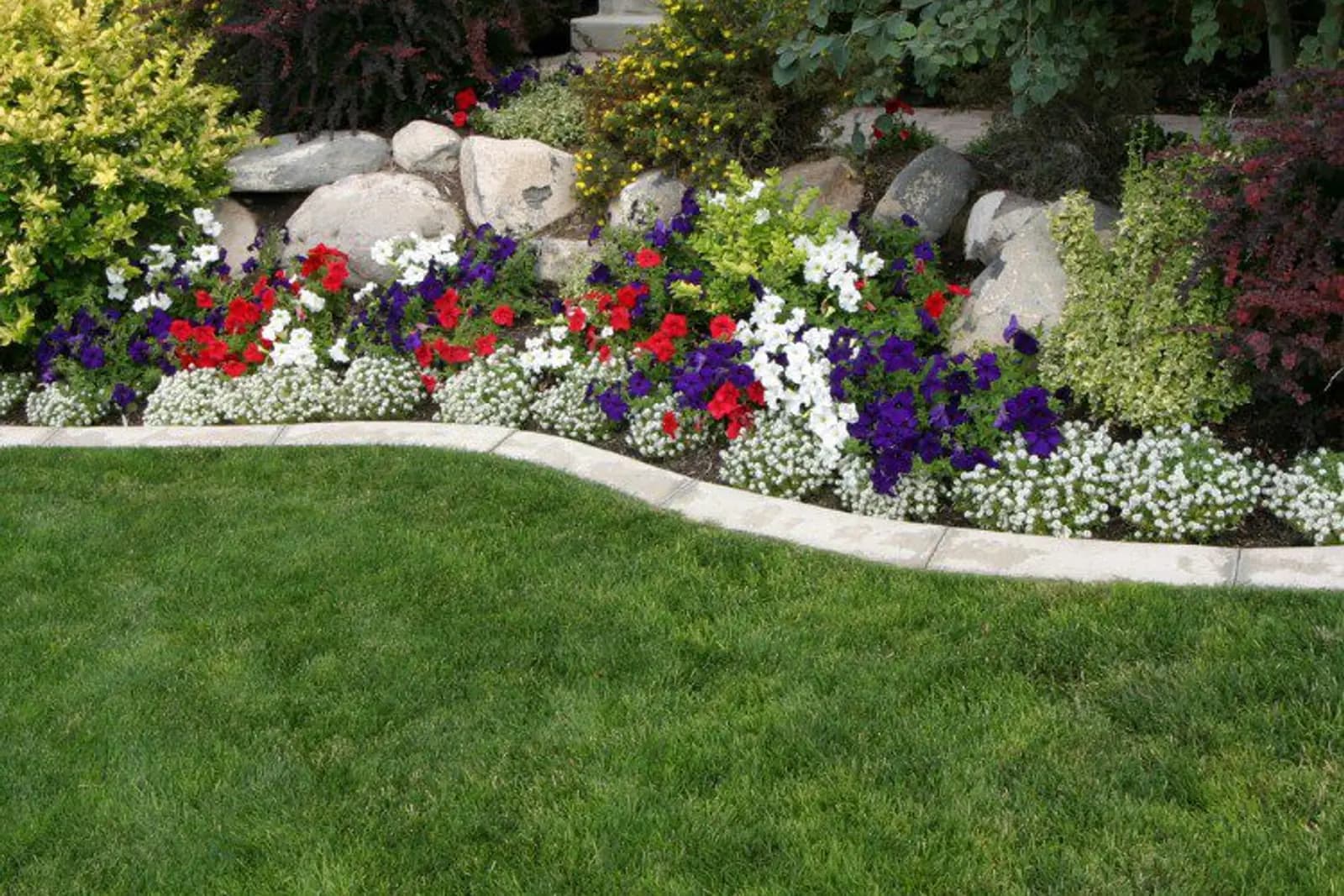 Boulder-accented flower bed with hydrangeas, salvia, and natural stone borders