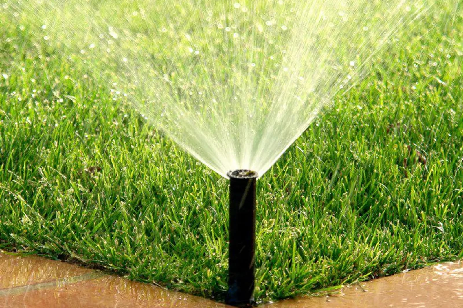 Pop-up sprinkler system delivering even coverage across a healthy lawn