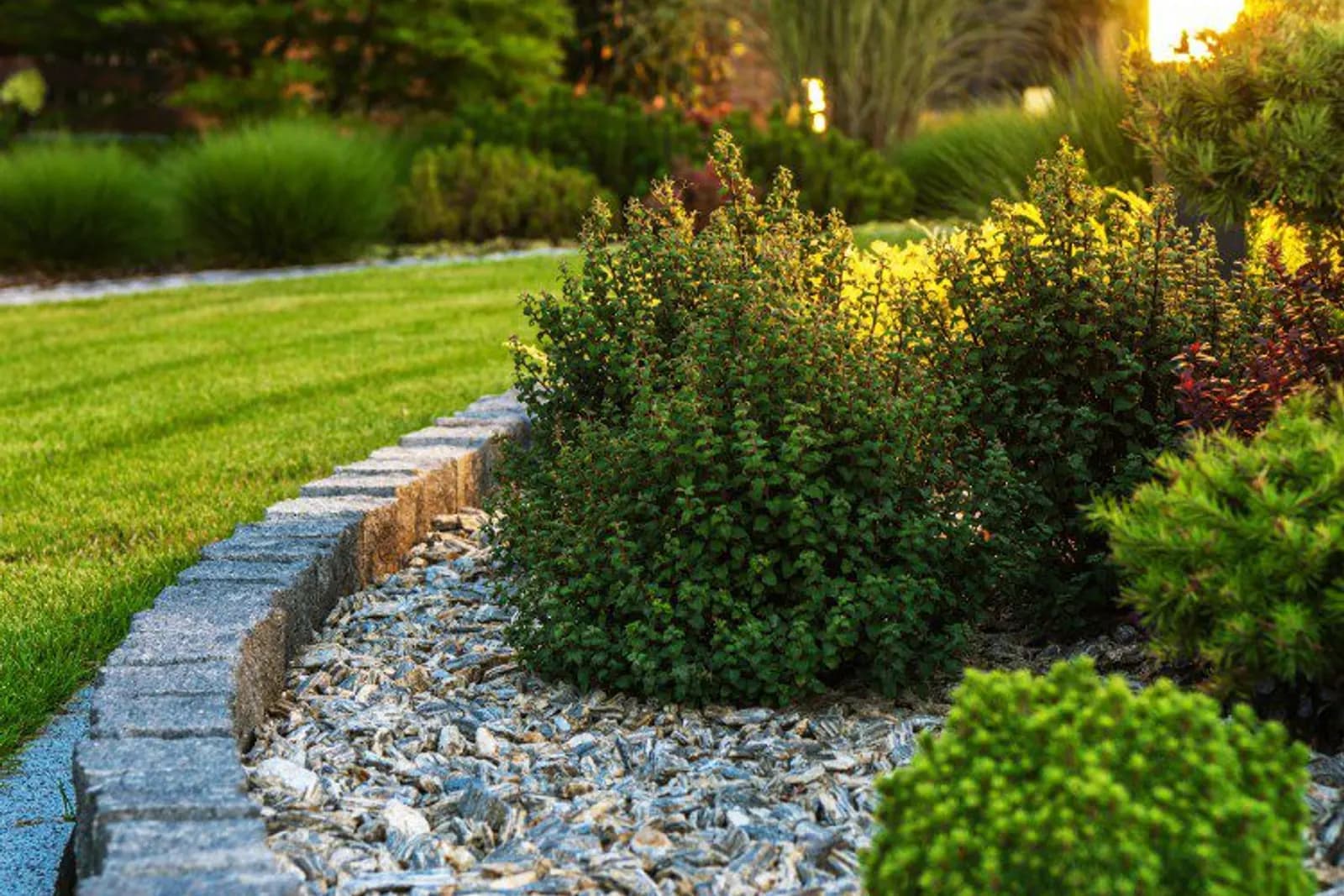 Curved stone-edged planter bed bordering a sculpted lawn at golden hour