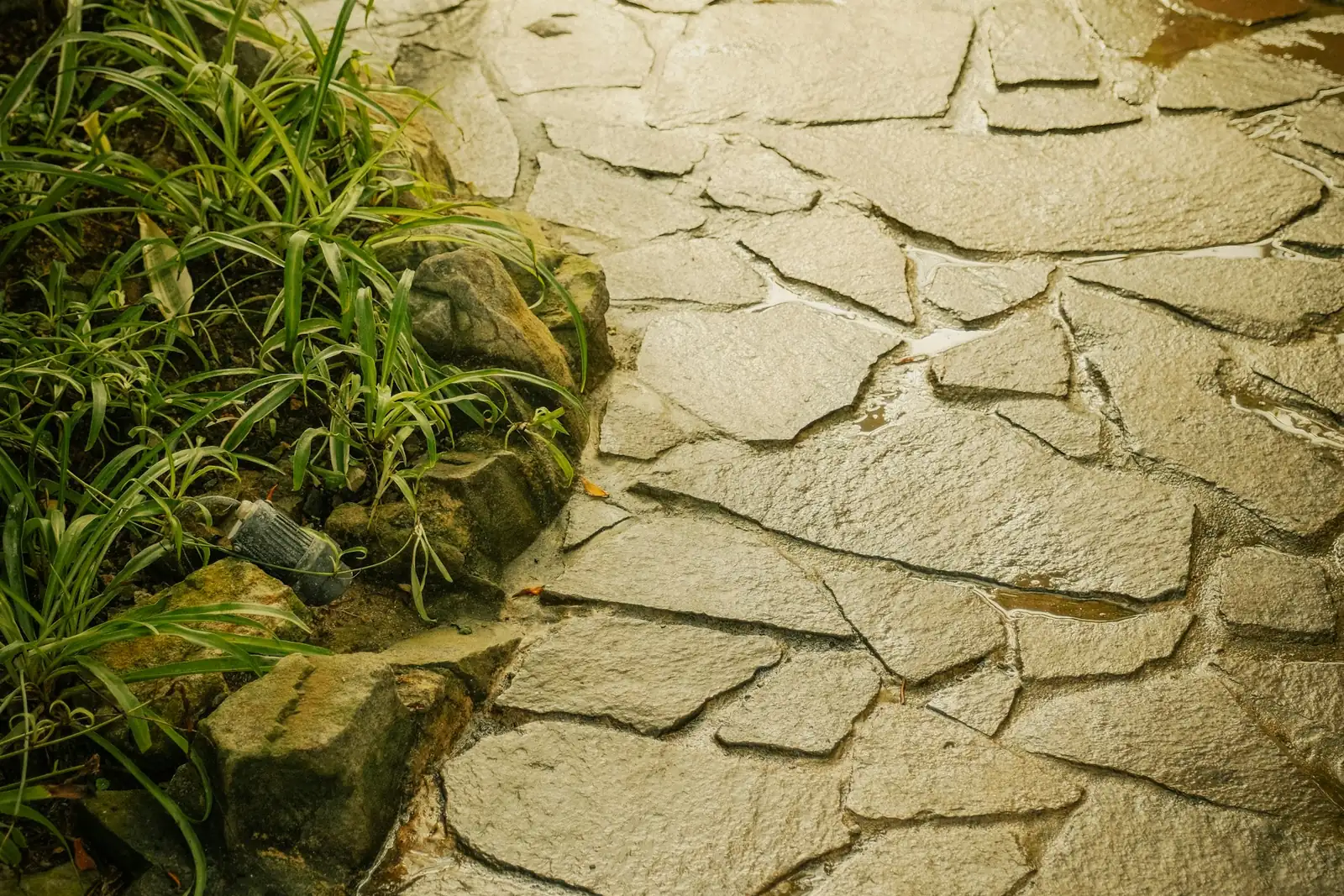 Decorative stamped concrete walkway winding through a residential garden
